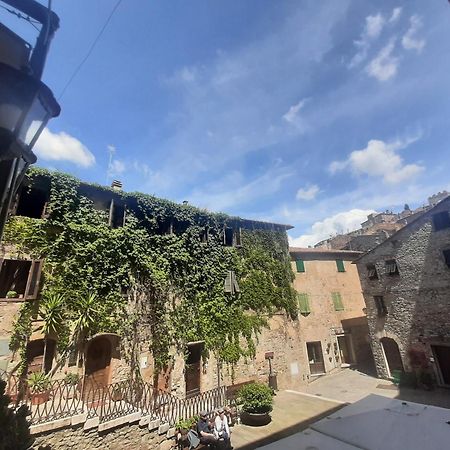 كامبيليا ماريتيما La Piazzetta Toscana B&B المظهر الخارجي الصورة